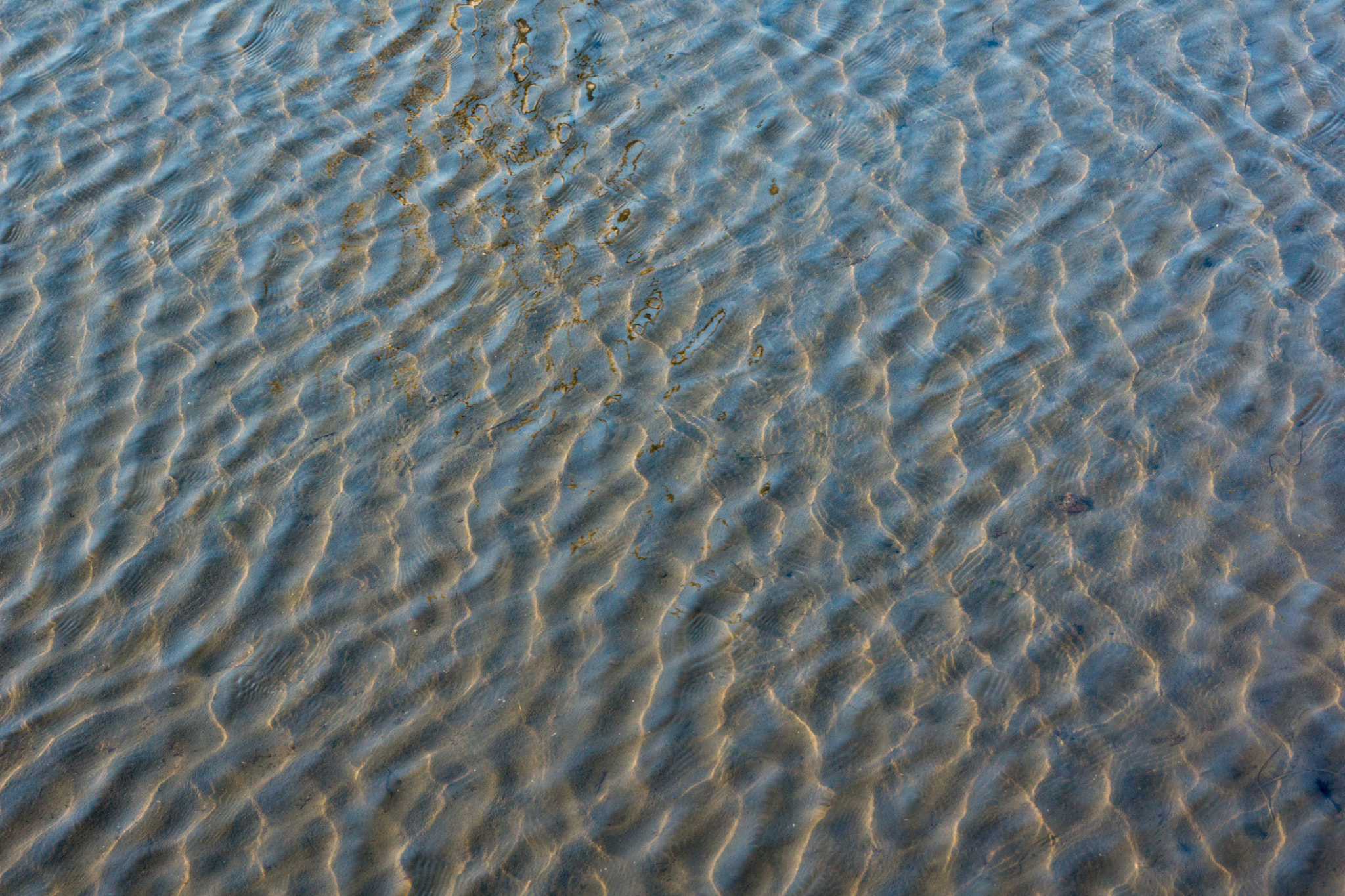 Sony Alpha NEX-7 sample photo. Wetland photography