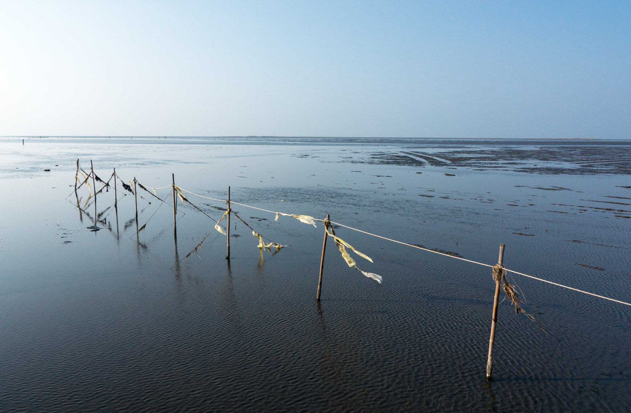 Sony E 18-200mm F3.5-6.3 OSS sample photo. Wetland photography