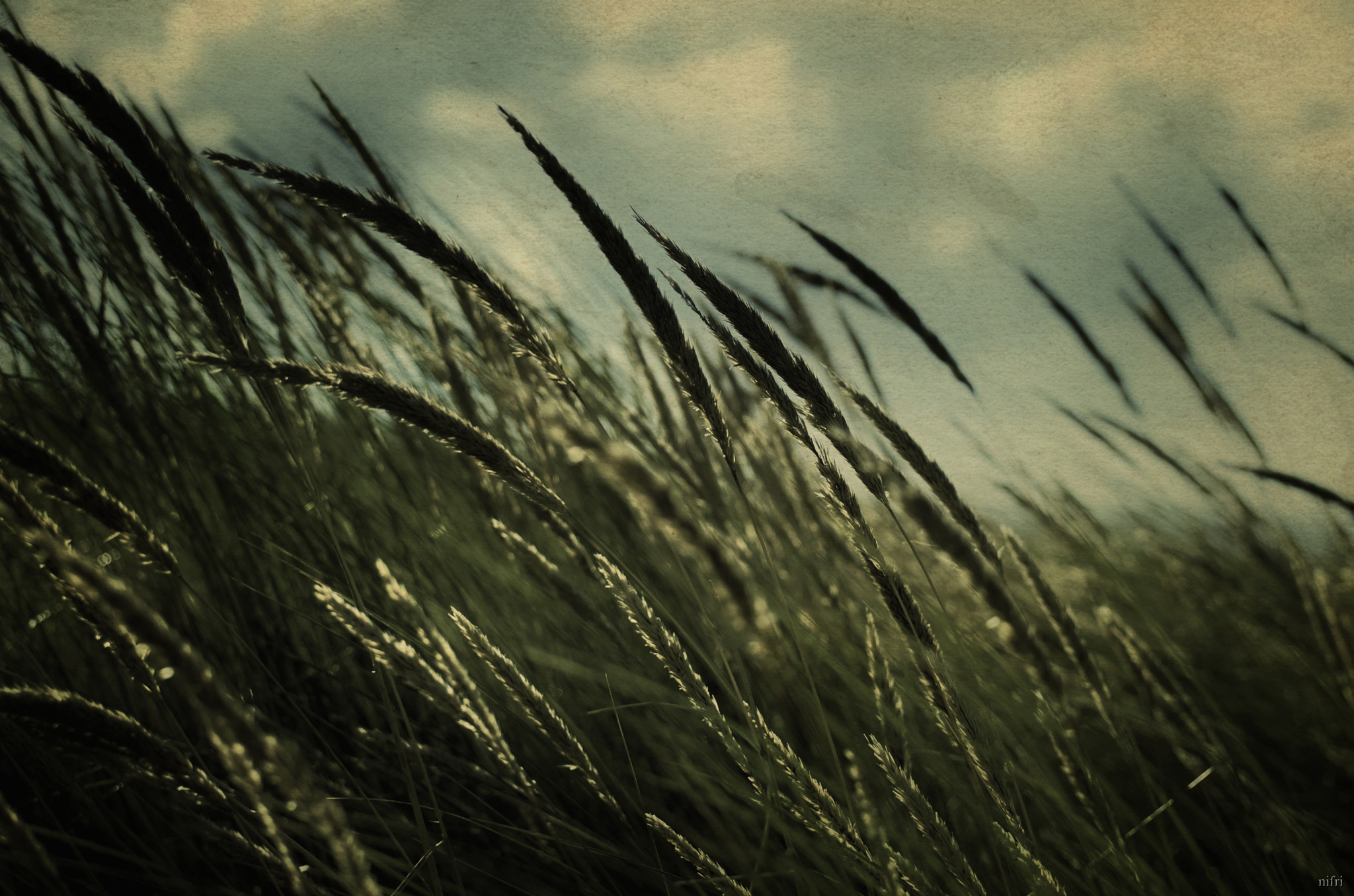 Moments of melancholy - Momente der Melancholie