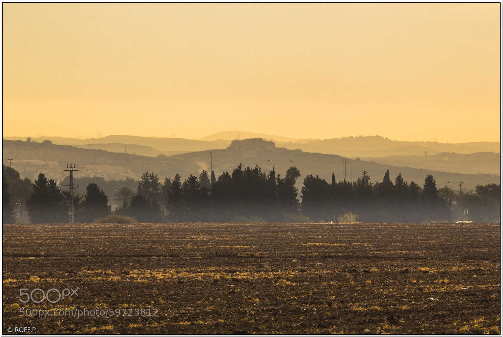 Canon EOS 60D sample photo. Brown-yellow morning photography