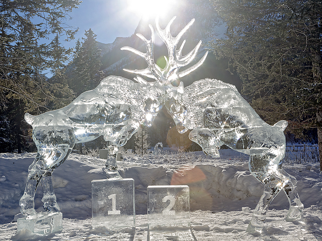 Olympic Ice Sculpture by Larry Missildine / 500px
