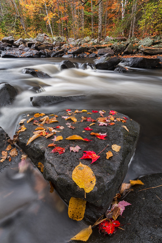 Algonquin Park by Robert Postma on 500px.com