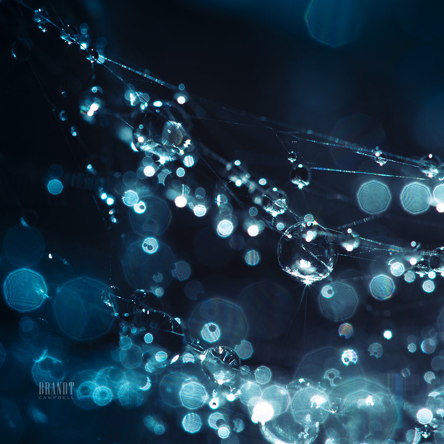 Starfall