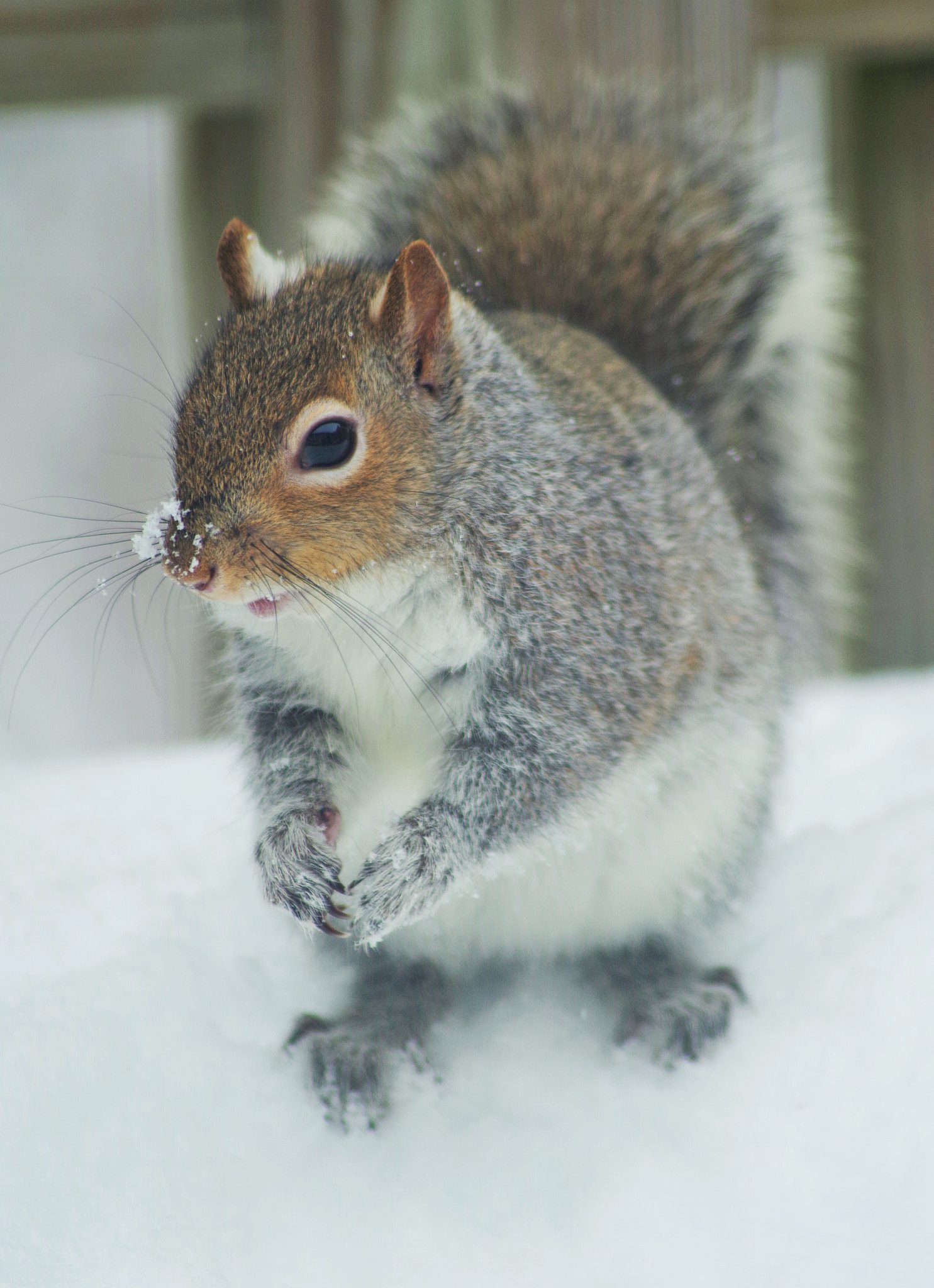 v2?sig=7affccda07c420f16d697b5c3842017e7747487c751bf50d3dac9cc5fafb6f90