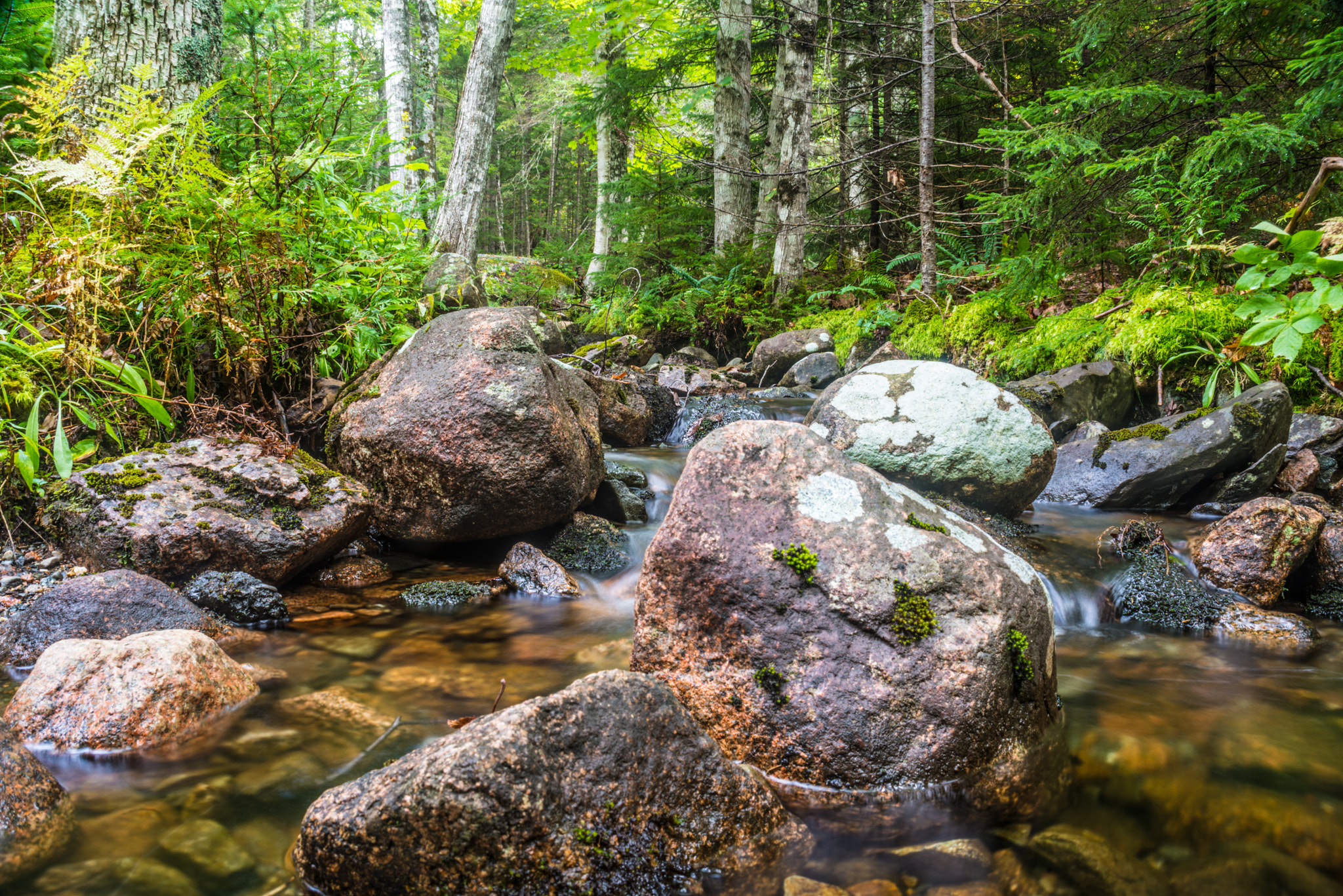 AF Zoom-Nikkor 28-200mm f/3.5-5.6D IF sample photo. Forest stream photography