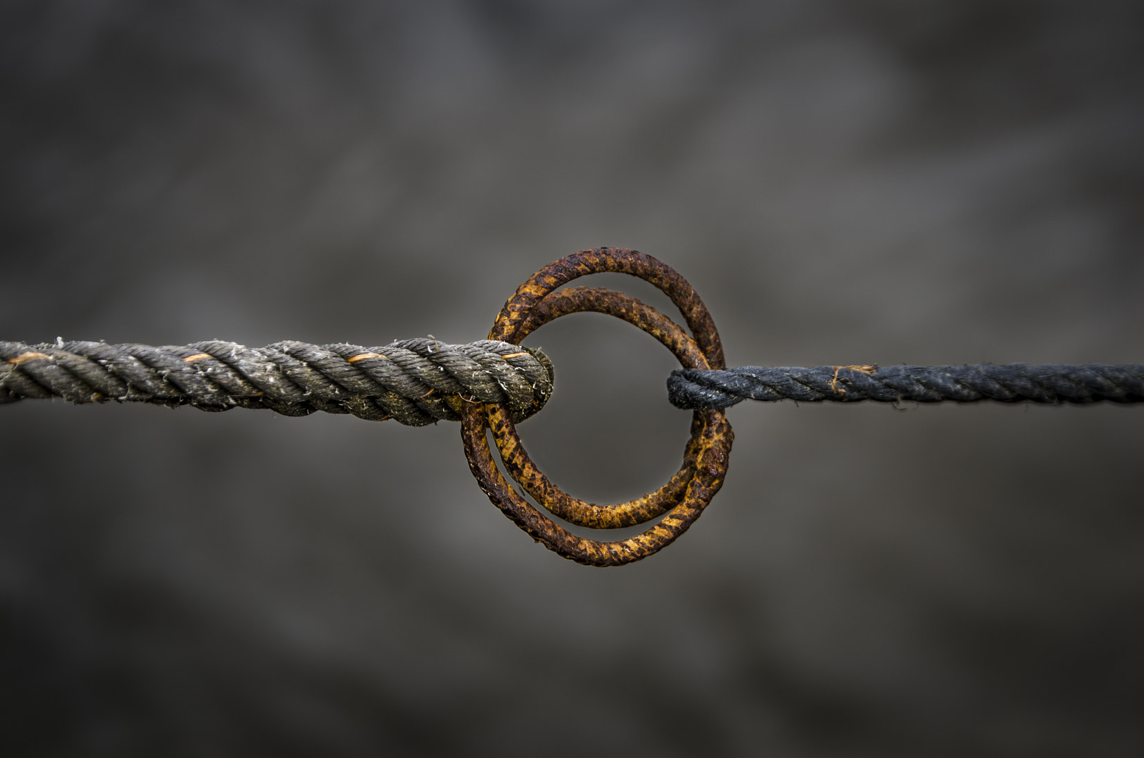 Trust