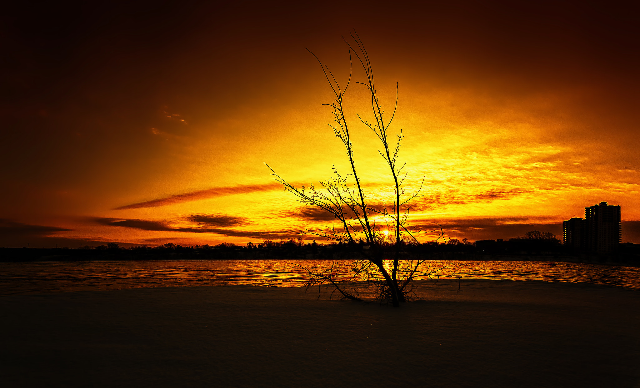 Lever du soleil à Montr?(C)al