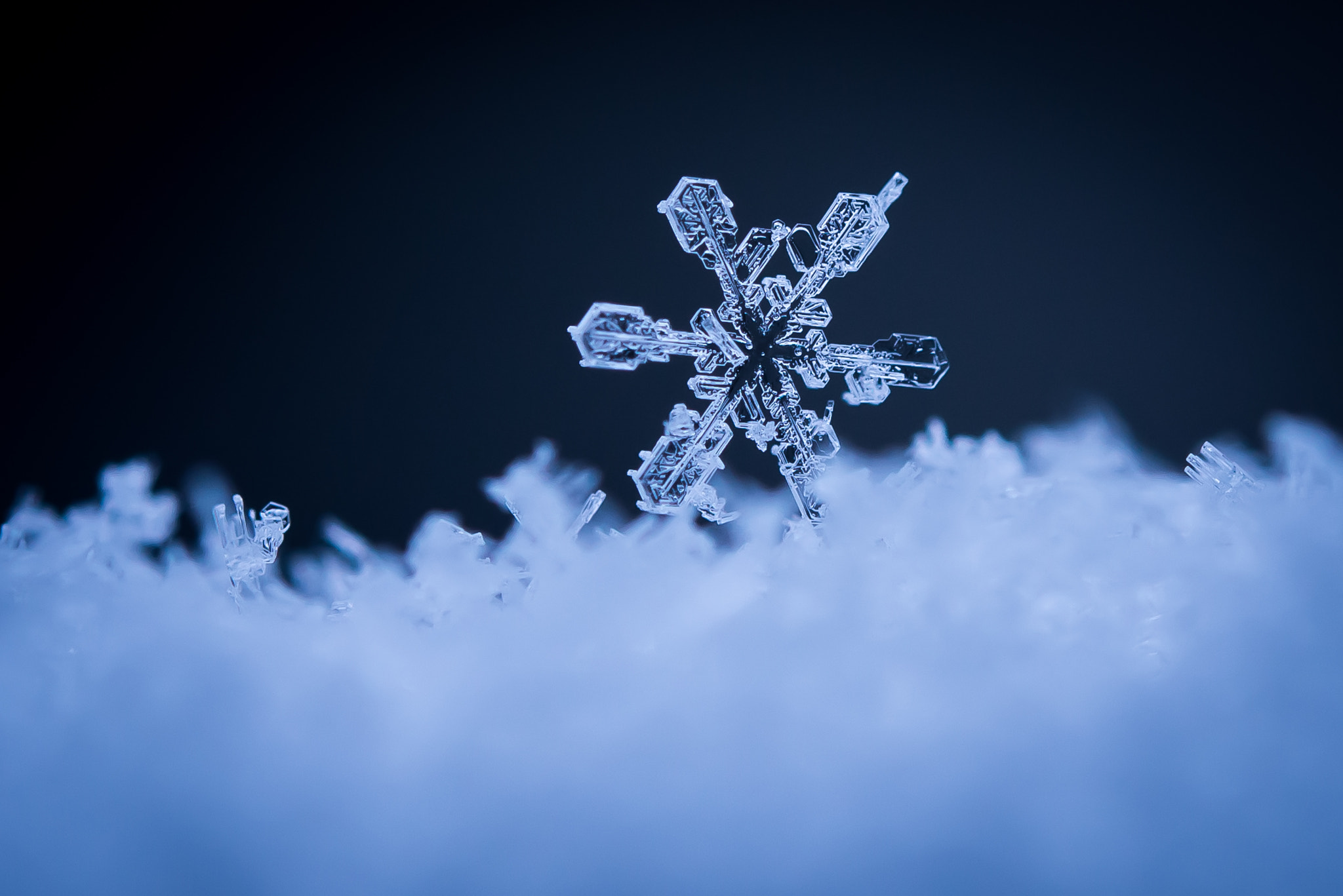 Snow angel by yuryo shin on 500px.com
