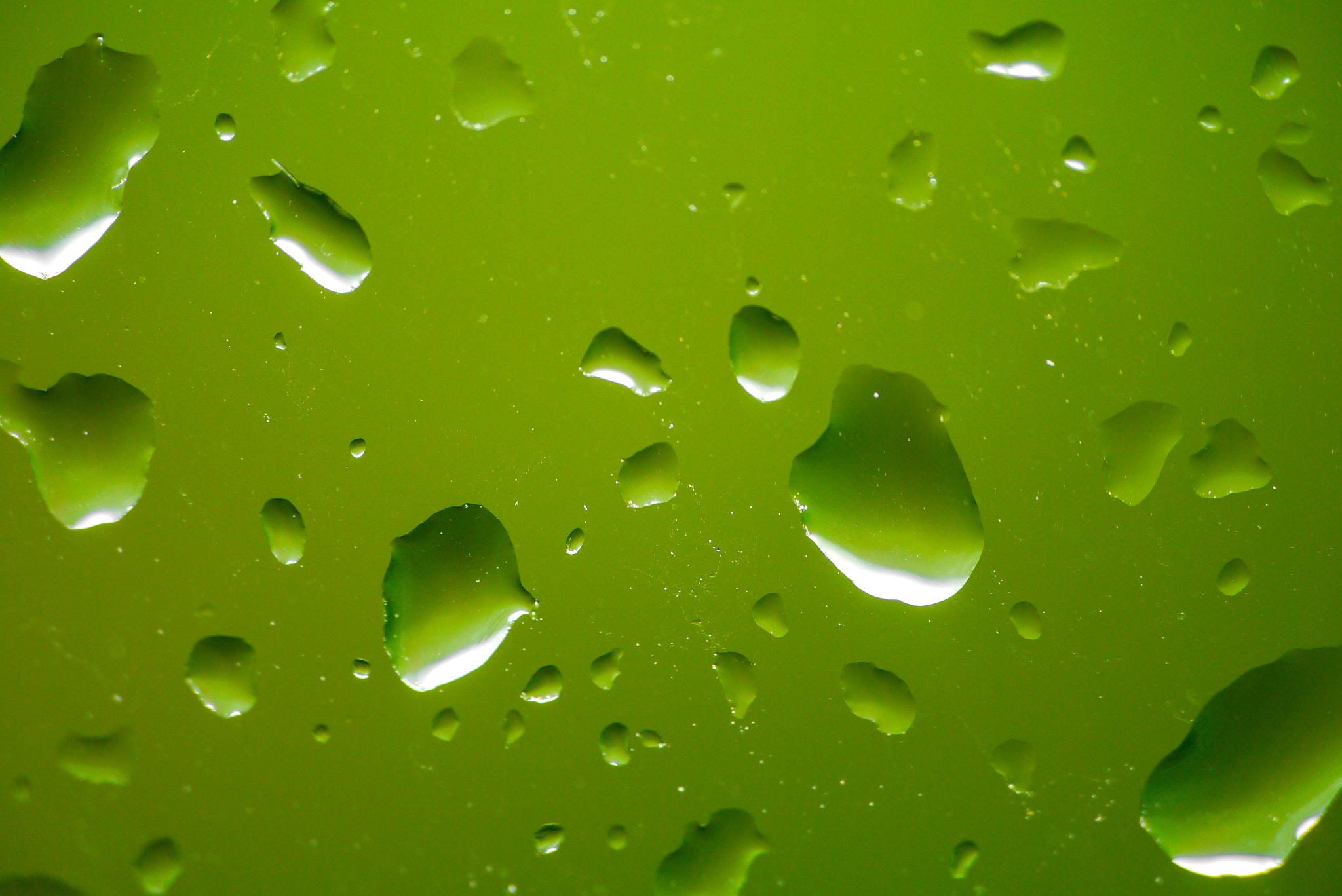 Ultra Macro Rain Drop Group Green