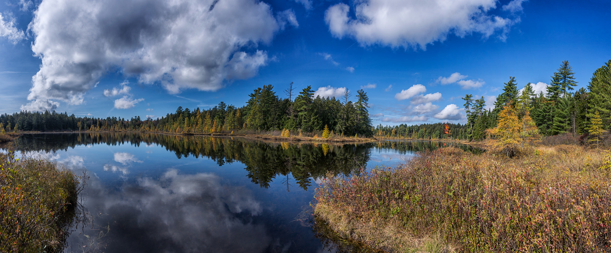 Follensby Clear Pond, Adirondacks, Upstate New York by Diana Robinson ...