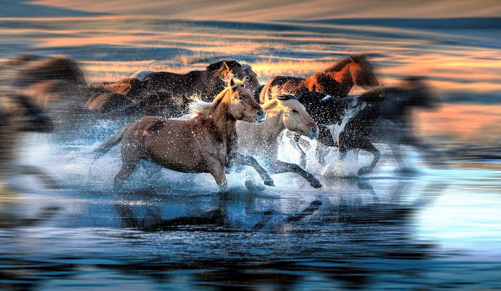 Crossing the river by Edwin Leung on 500px.com