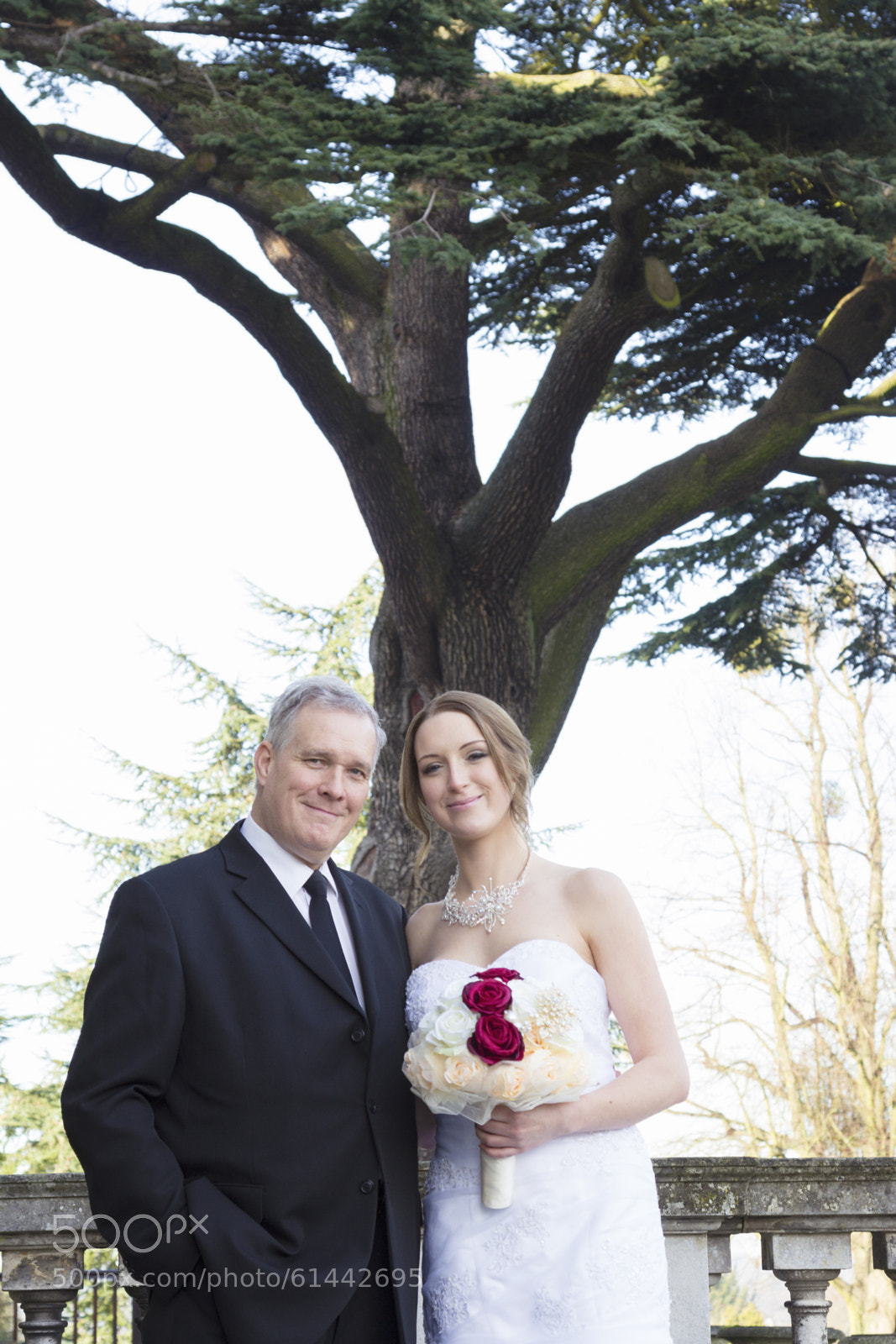 Canon EOS 60D sample photo. Wedding photography