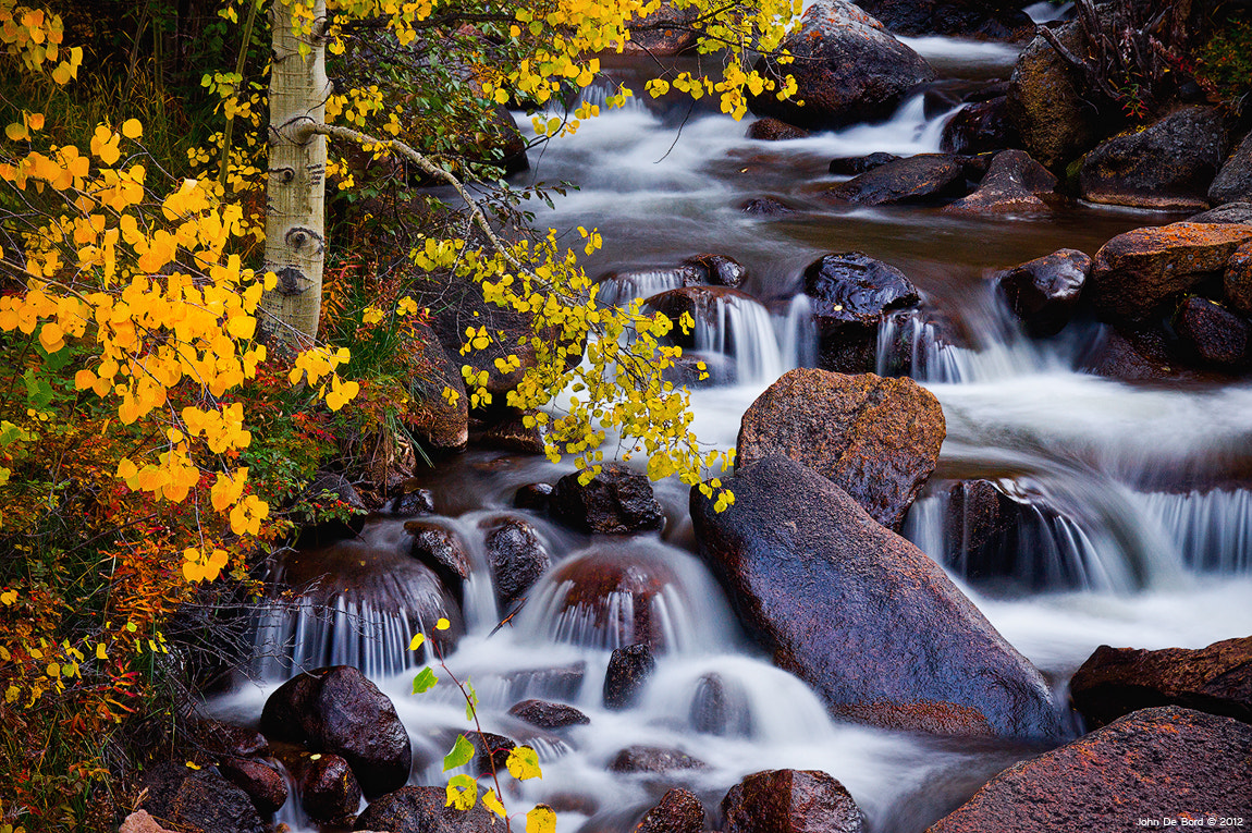 Autumn Zen