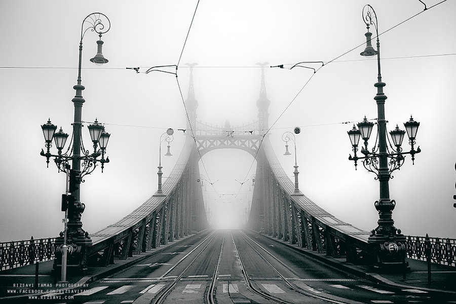 Foggy Dream by Rizsavi Tamás on 500px.com