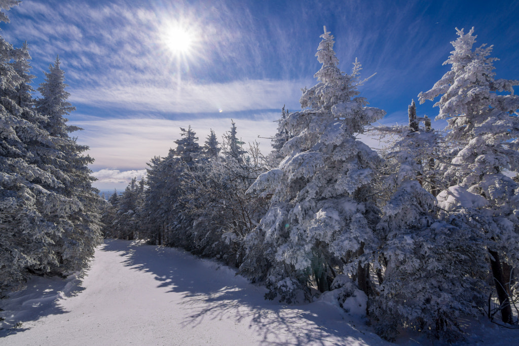 Blanketed in White by Jeff Moreau - best places to visit in USA in December