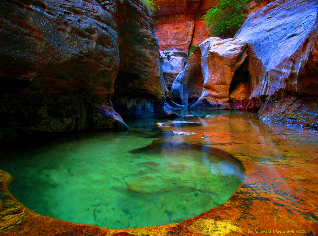 Pools in Zion National Park's Subway