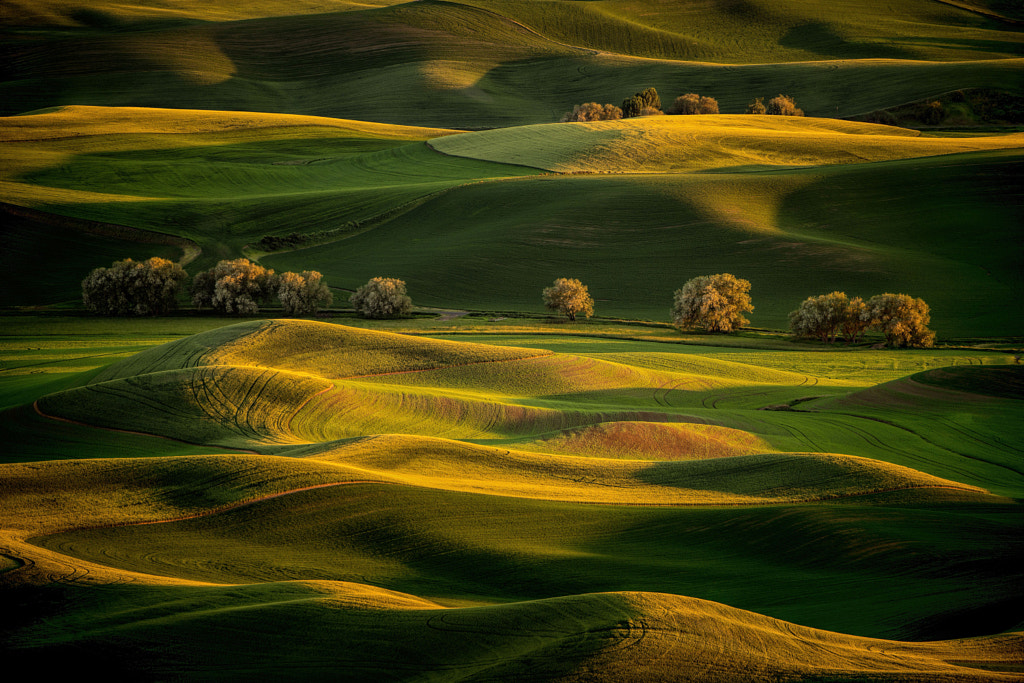 how to make presets in lightroom -Sunrise On Steptoe Butte by Matt Kloskowski on 500px.com