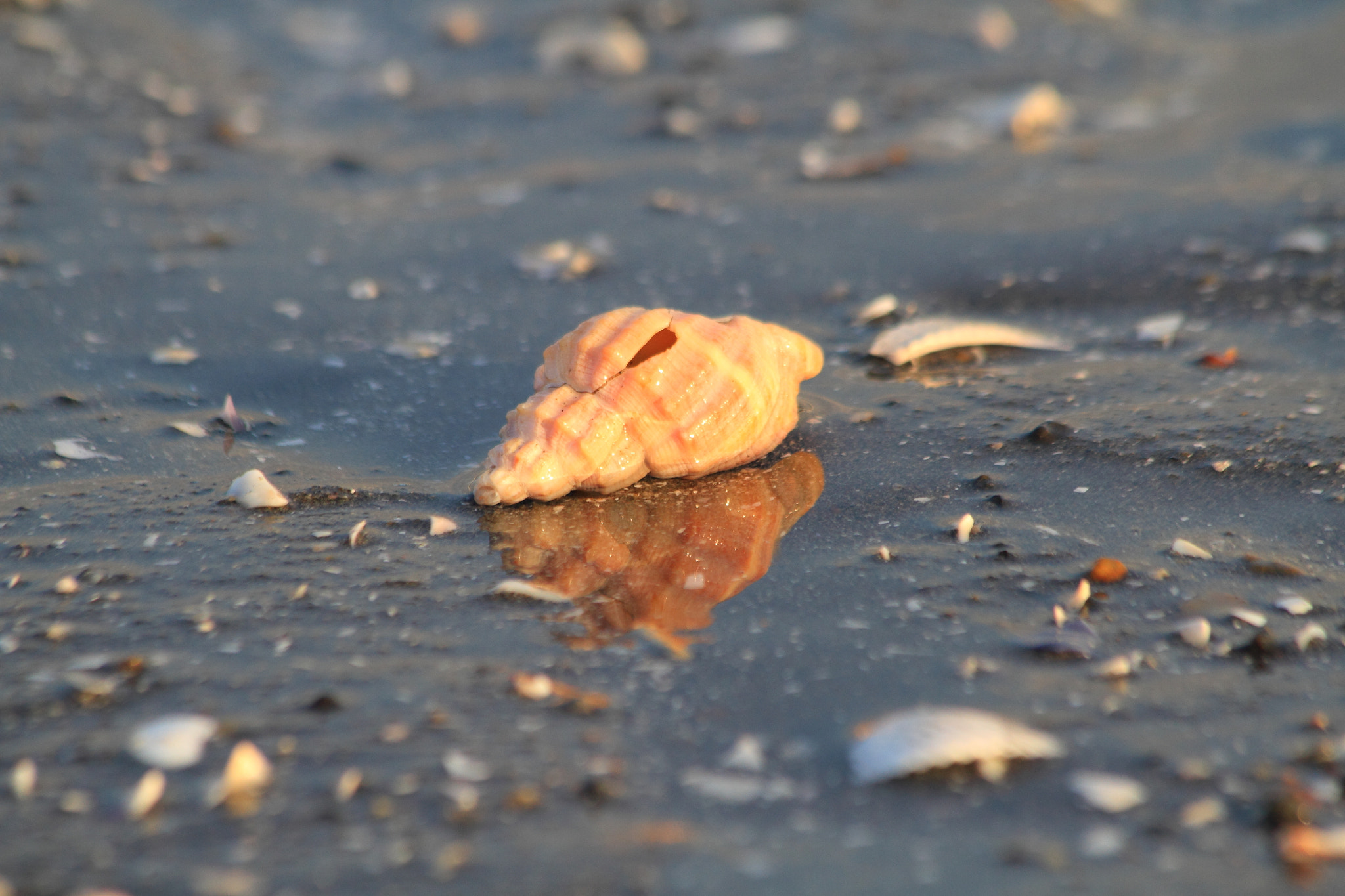 v2?sig=951f1b8a06feef5eb3bf17e26fea6efe2b3561bc5dcd75a8a615f96aa27e0425