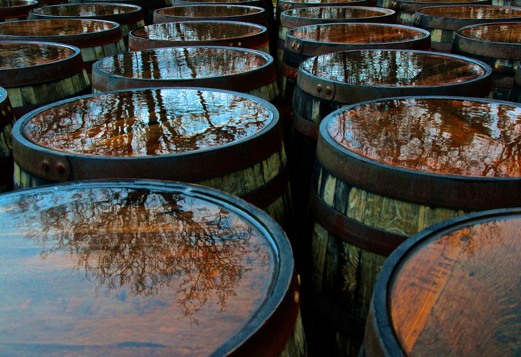 Laphroaig Reflections by Malcolm Robertson on 500px.com