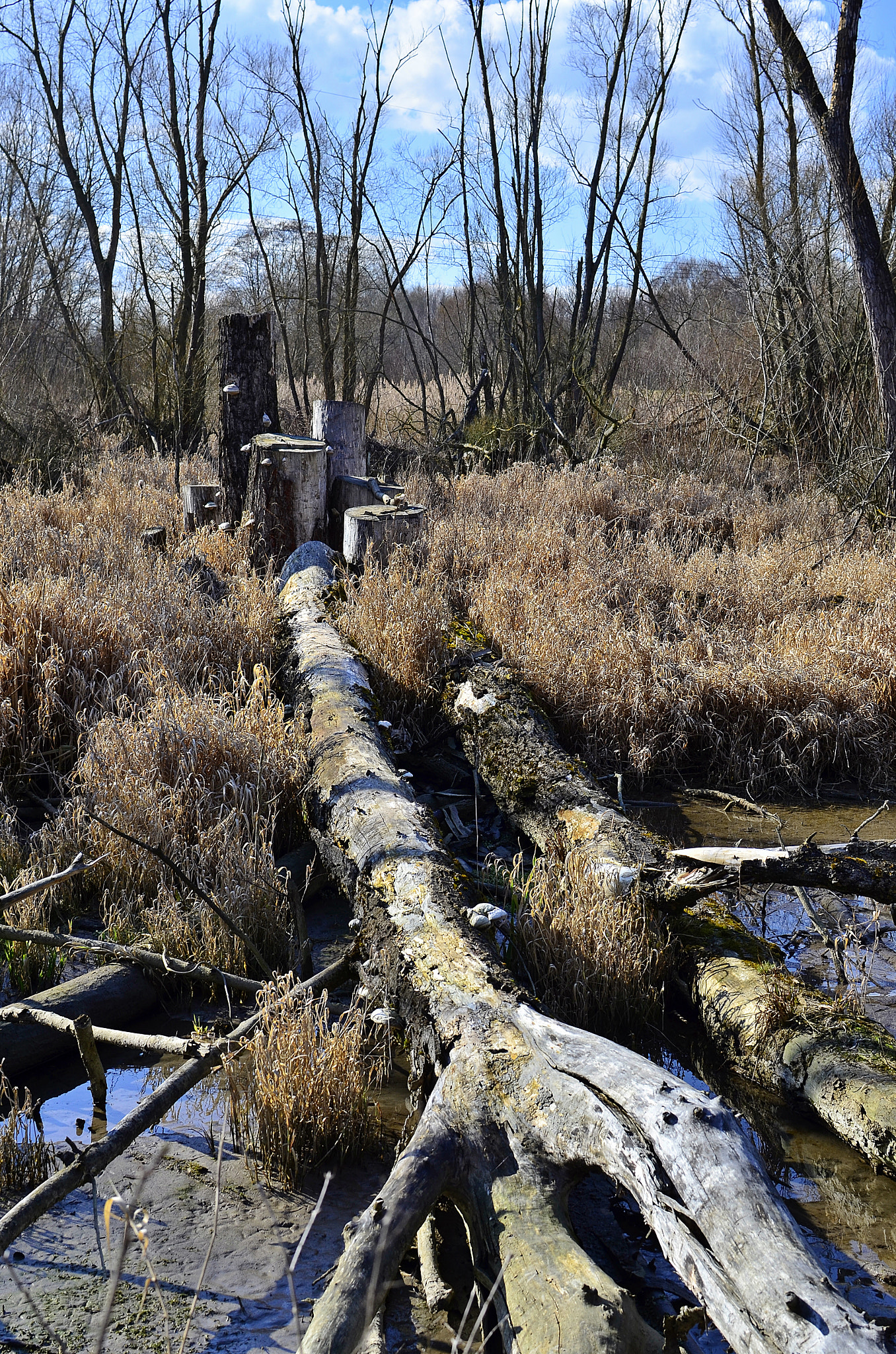 v2?sig=018fe61065b52176f7cb13fc45cb1e245f6e10c1254c384dacc7ac0653f215cc