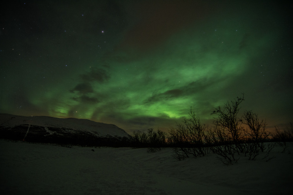 Aurora Borealis by Fredrik Meling on 500px.com