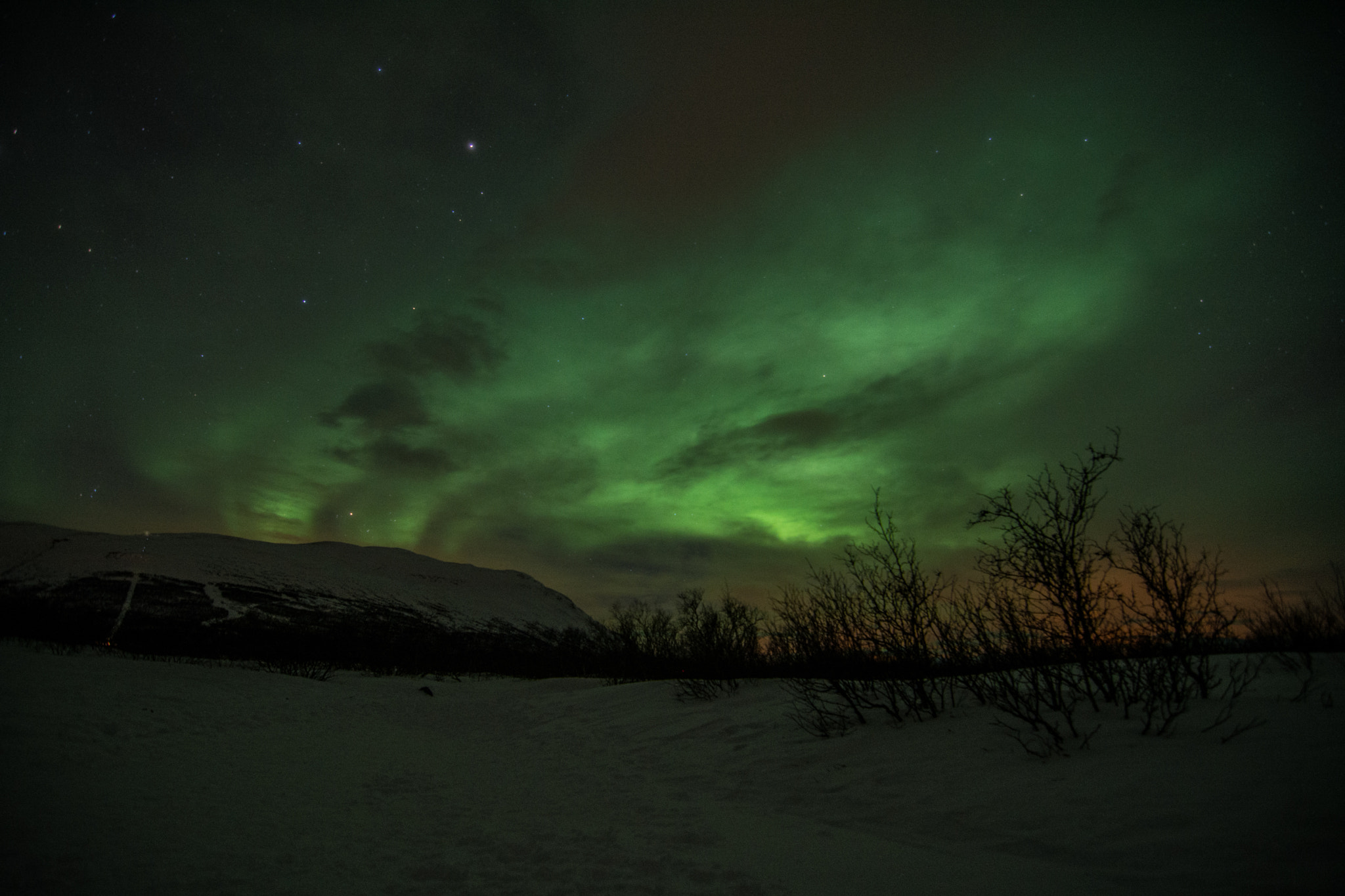 Where Can You See the Northern Lights in Norway?