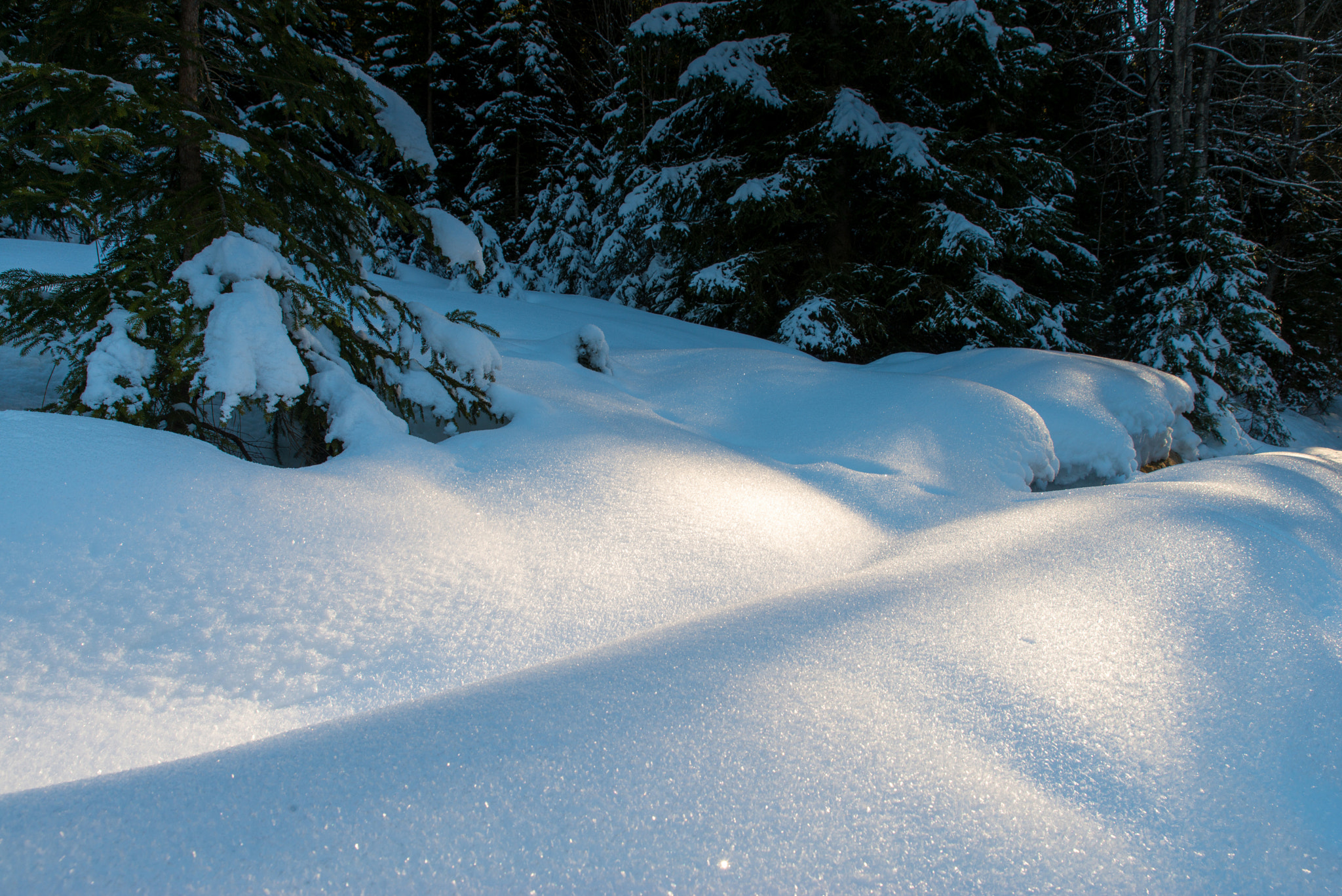 Himmelreich Kleinwalsertal