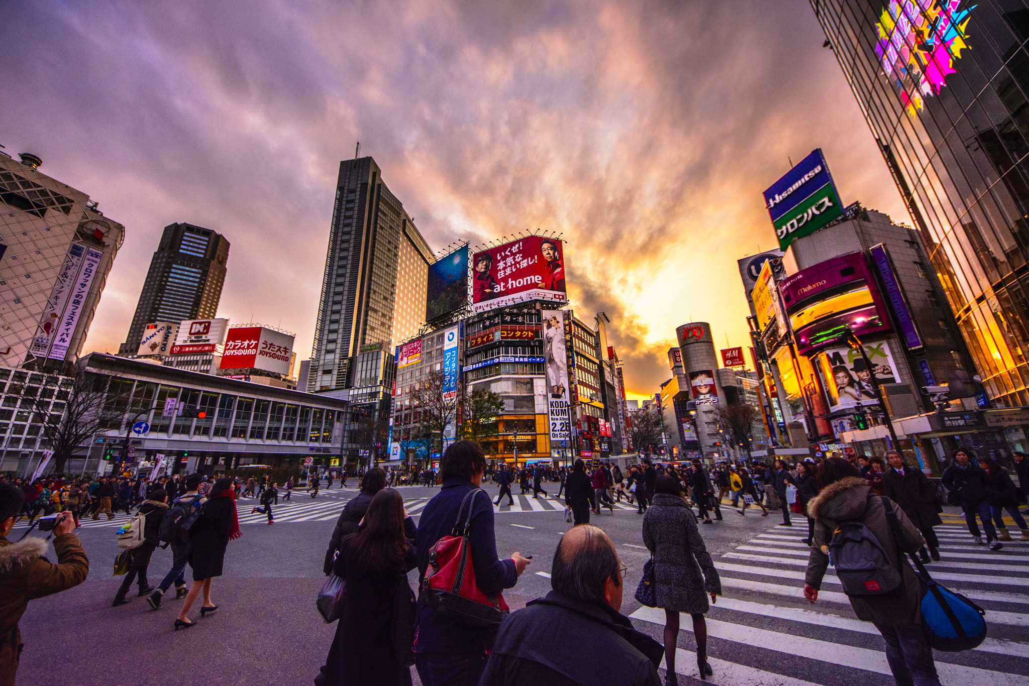 Sigma 8-16mm F4.5-5.6 DC HSM sample photo. Shibuya crossing photography