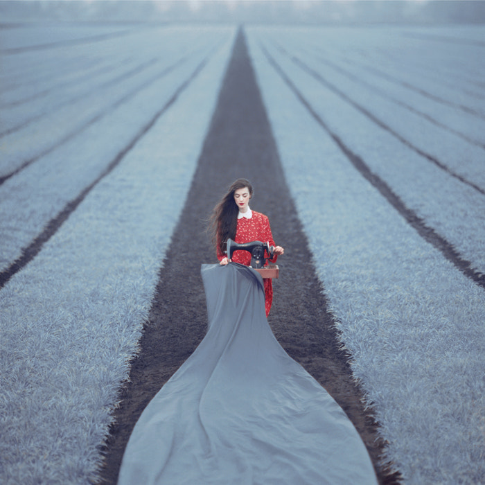 *** 500px.com의 oprisco 제작