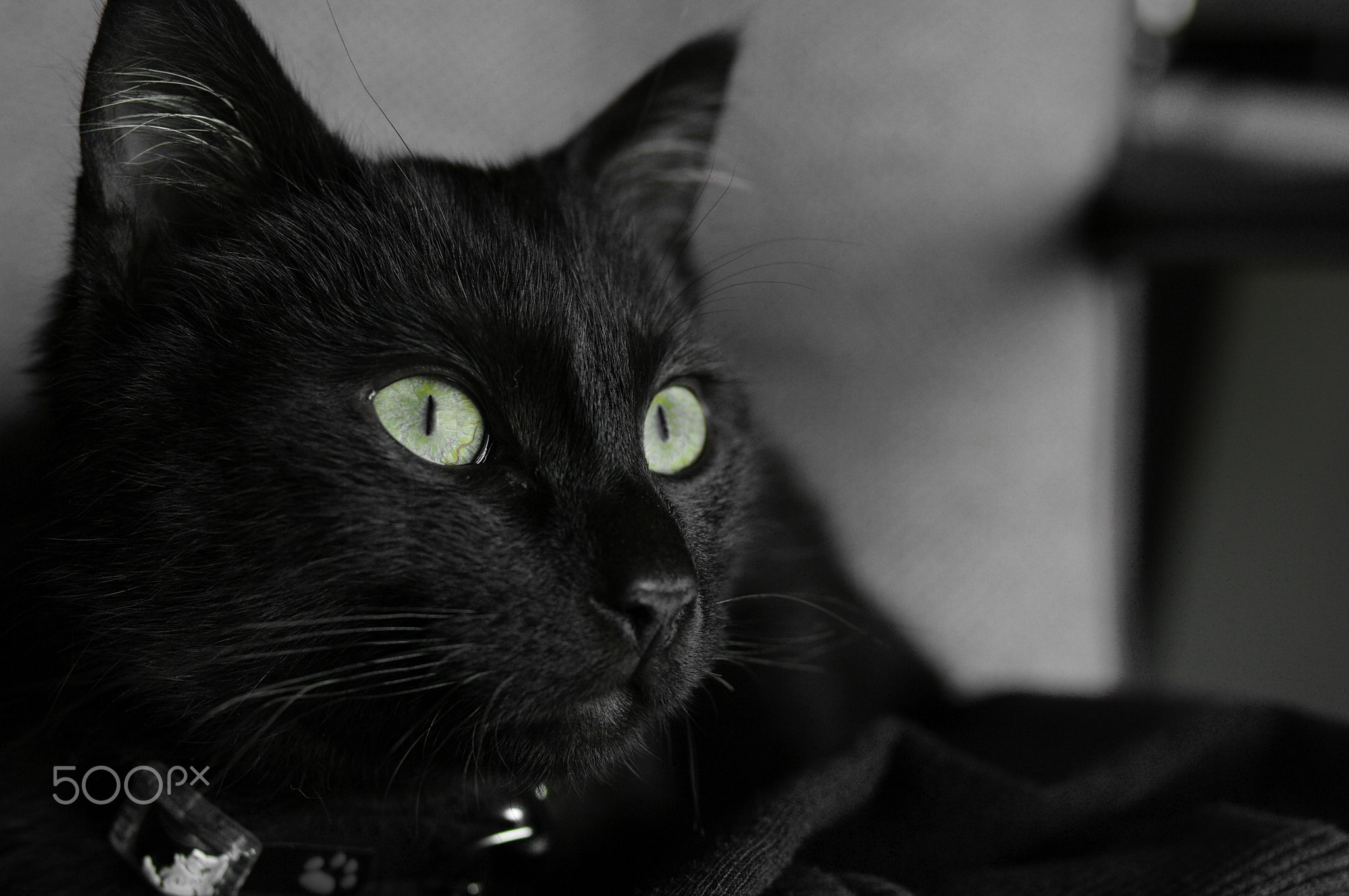 Les yeux