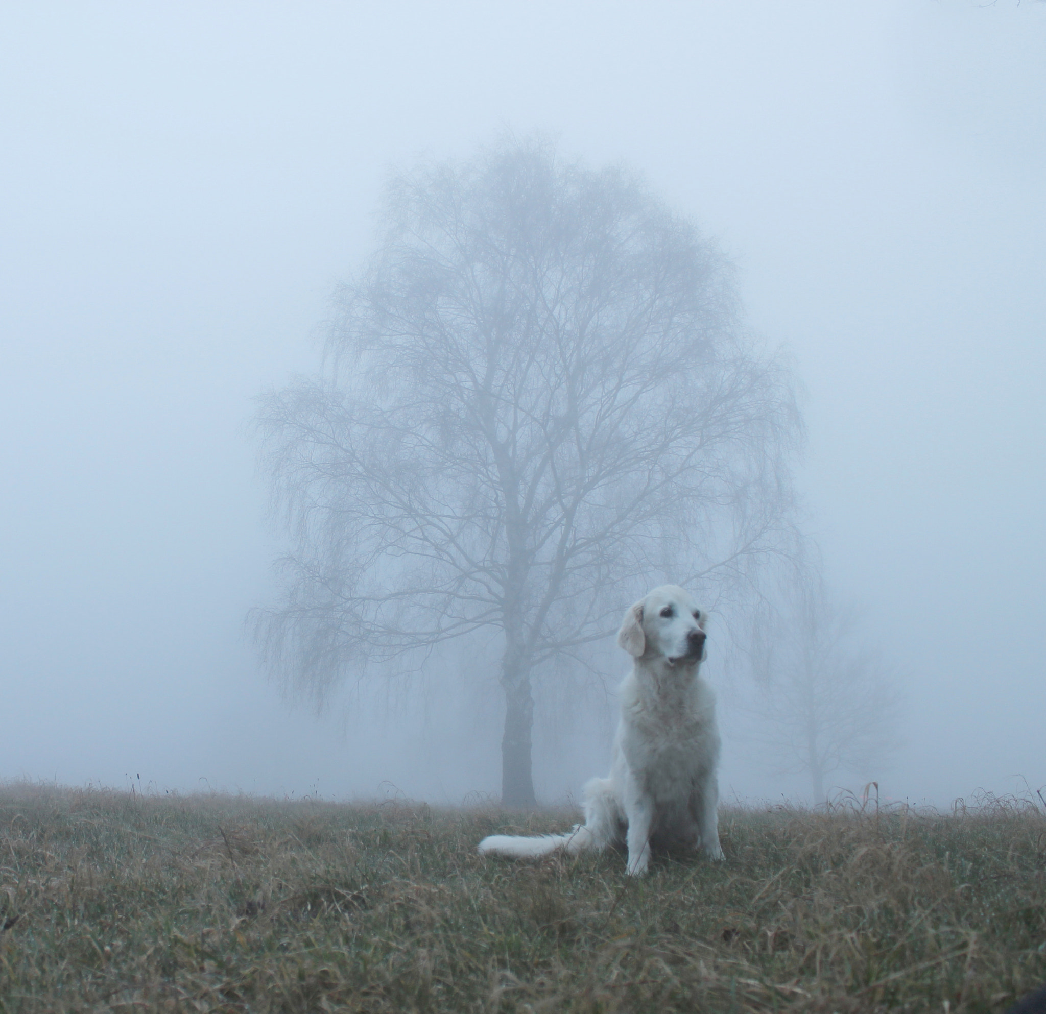 v2?sig=e09ef78ea243c92fc960eeb6194b56a68