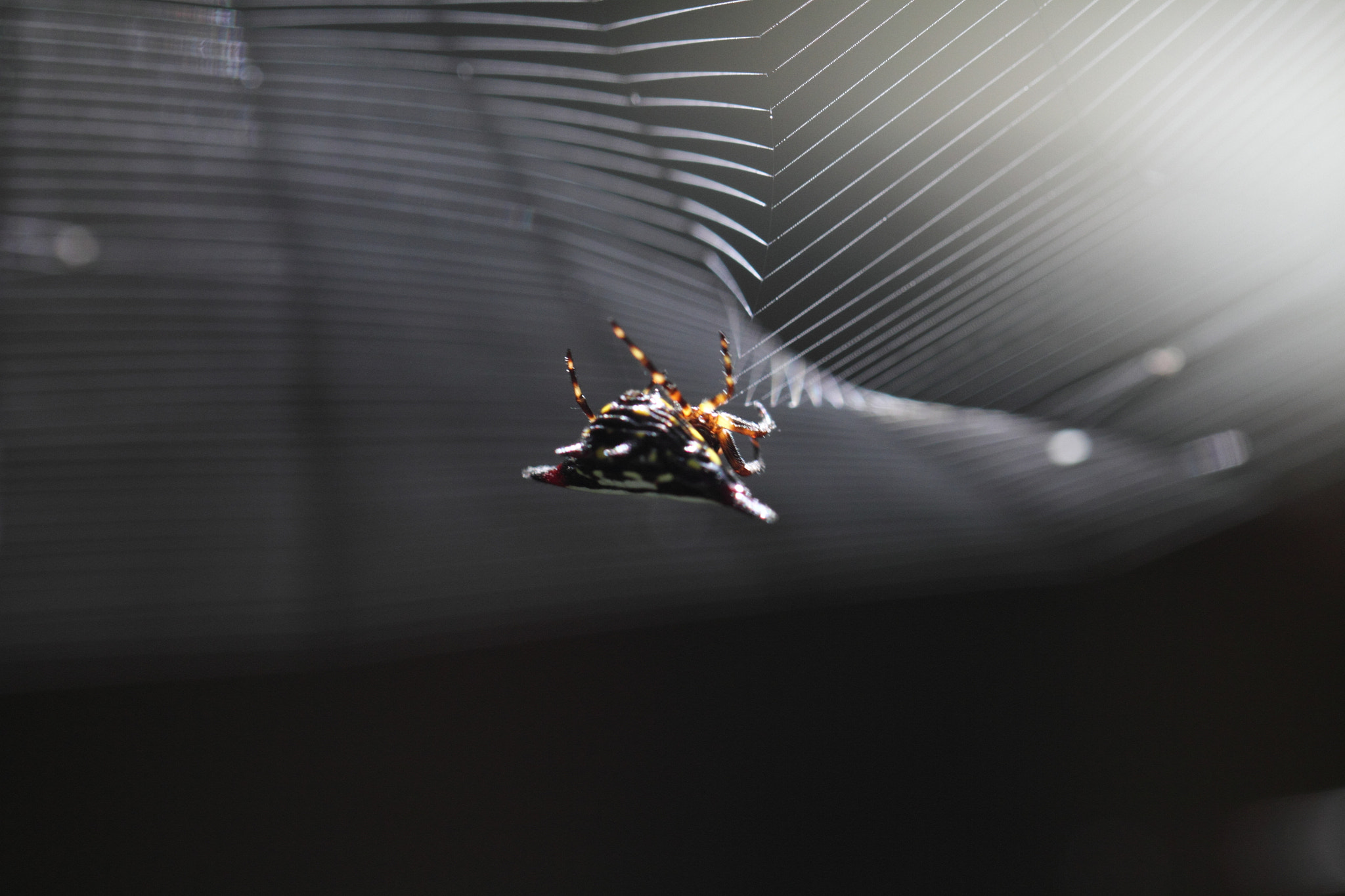 v2?sig=d1c0617a247368b1a04ea28cf8dbef178