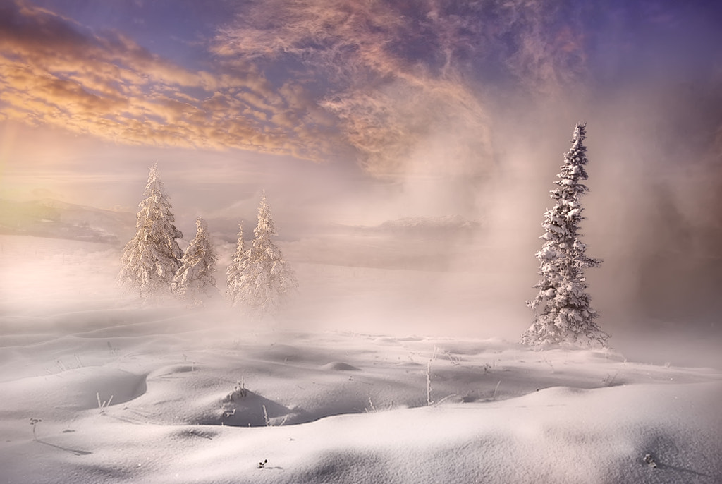 In the depth of winter by Maurizio Fecchio on 500px.com