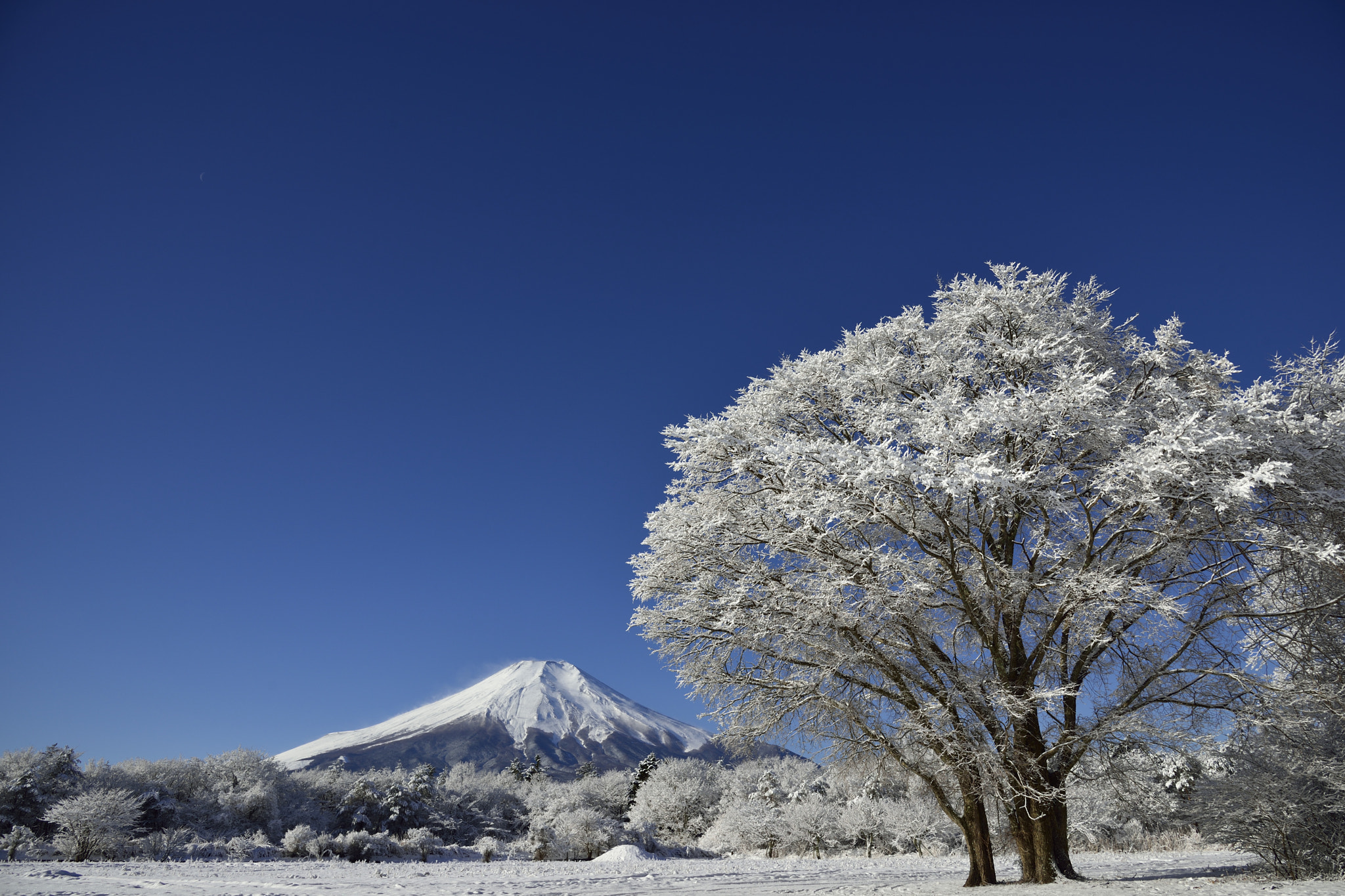 Rime and Mount Fuji 2