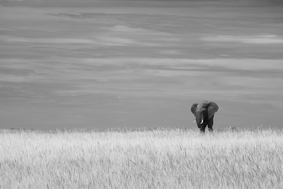 Nikon D200 sample photo. Nature photography