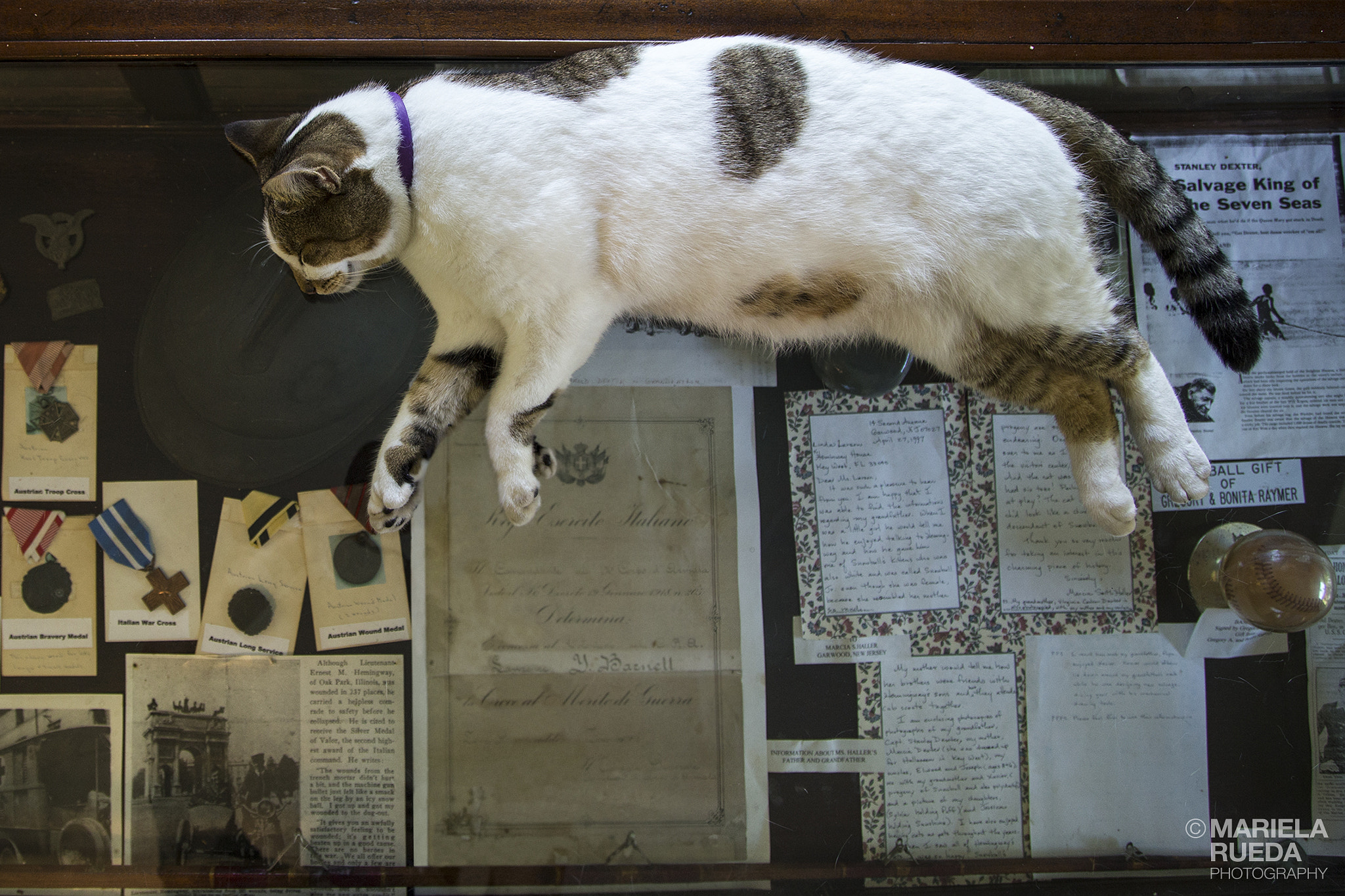 v2?sig=337afa52195b38c89e60497c6bea038be1f1616f13be40feaac06f1651ff371d