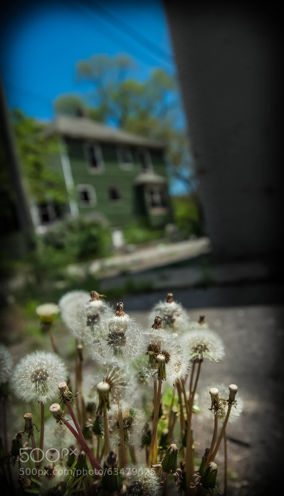 Nikon D700 sample photo. Untitled photography