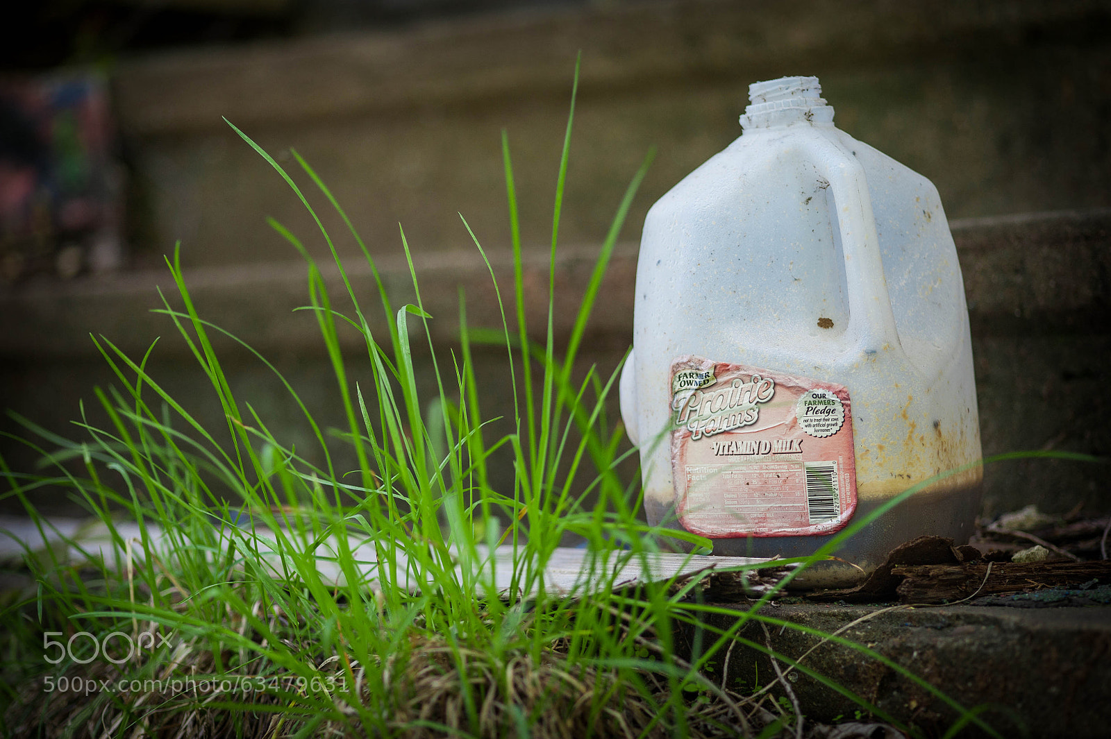 Nikon D700 sample photo. Untitled photography