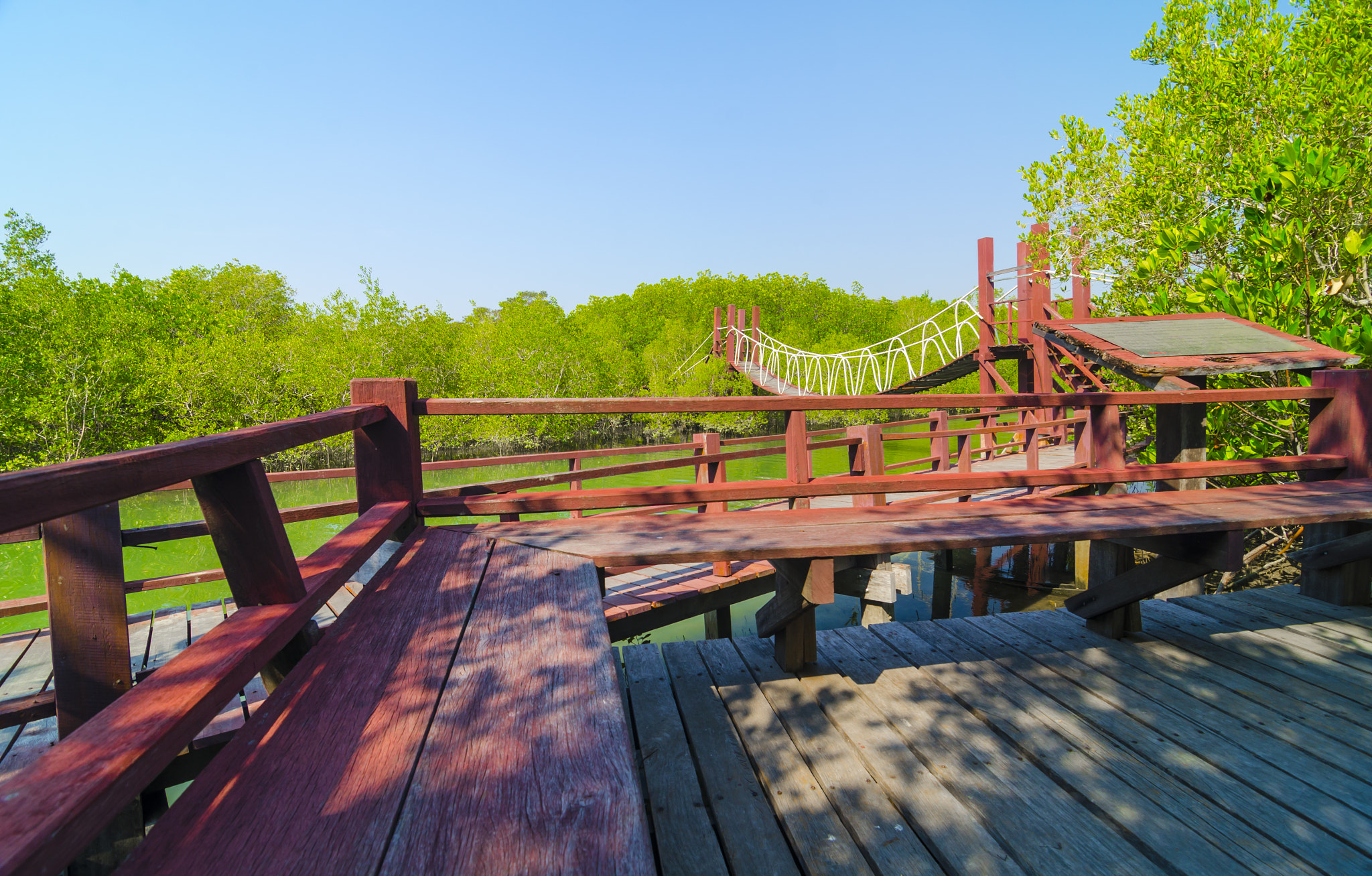 Red wooden bridge to a natural forest with blue sky, Thailand