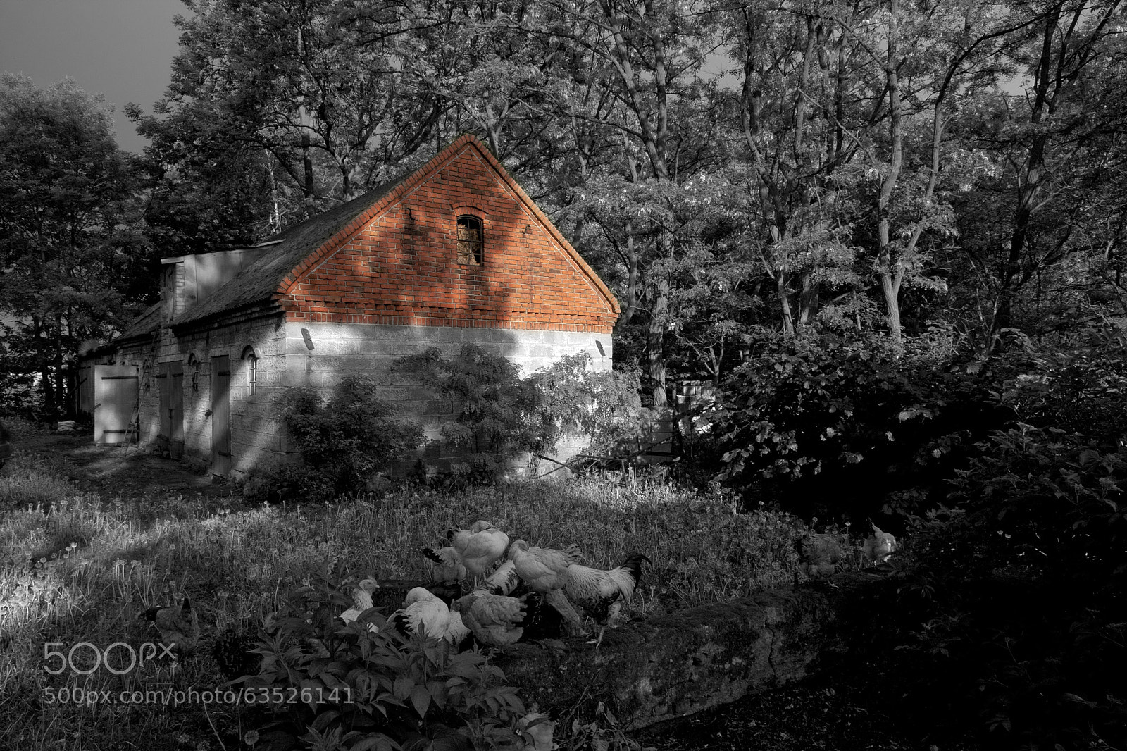 Canon EOS 40D sample photo. Eye left, eye right photography