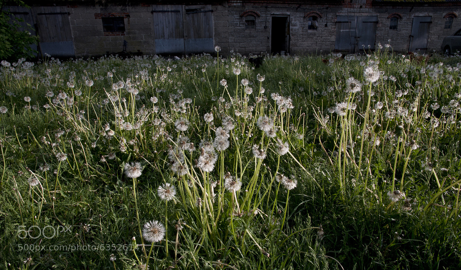 Canon EOS 40D sample photo. Eye left, eye right photography