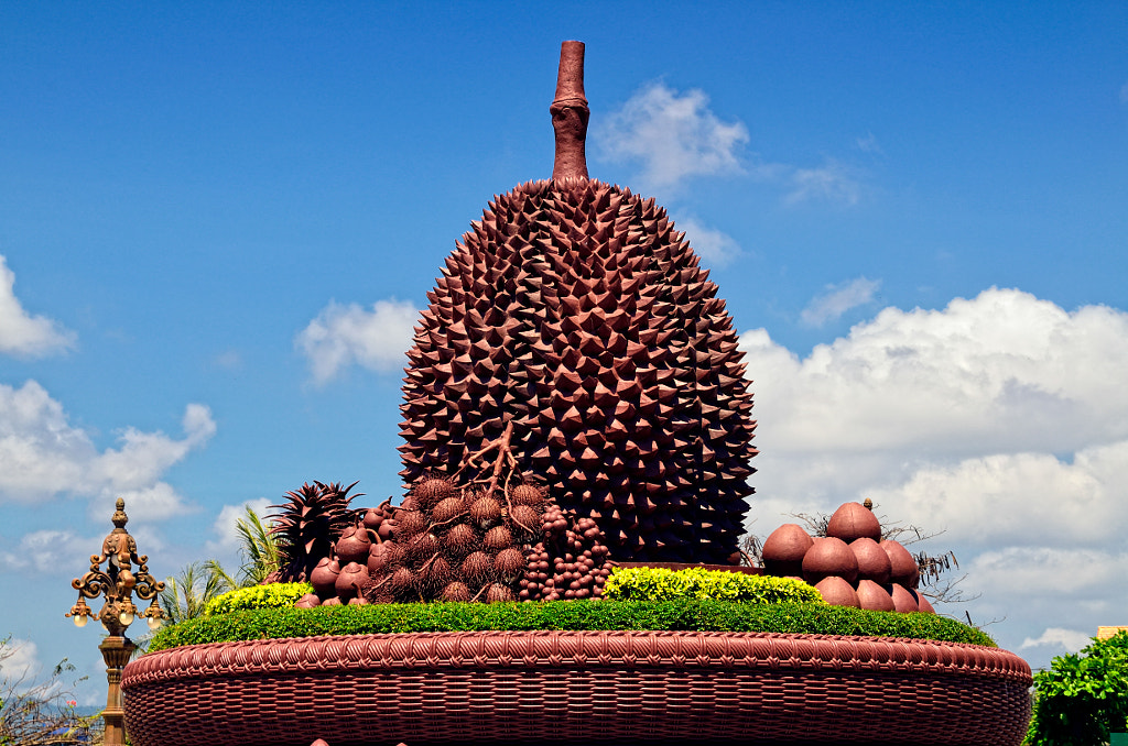 Durian roundabout at Kampot - Cambodia by Pablo Mandado on 500px.com