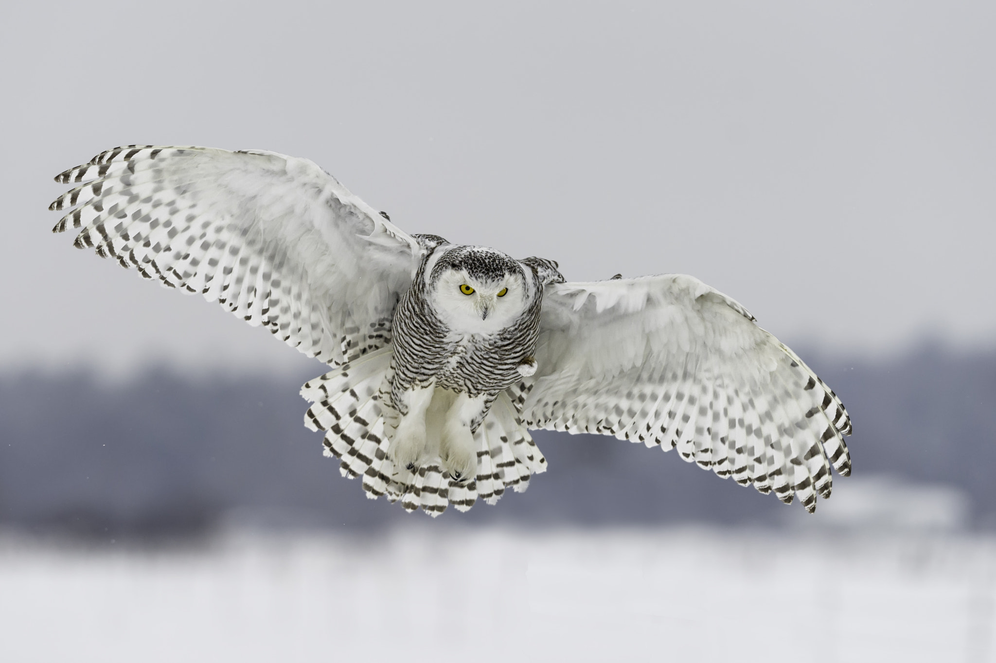 v2?sig=b16830ae009456c0629e4de5752e85f5885e04a3ebd0eba7a5af75ddc1b4486a