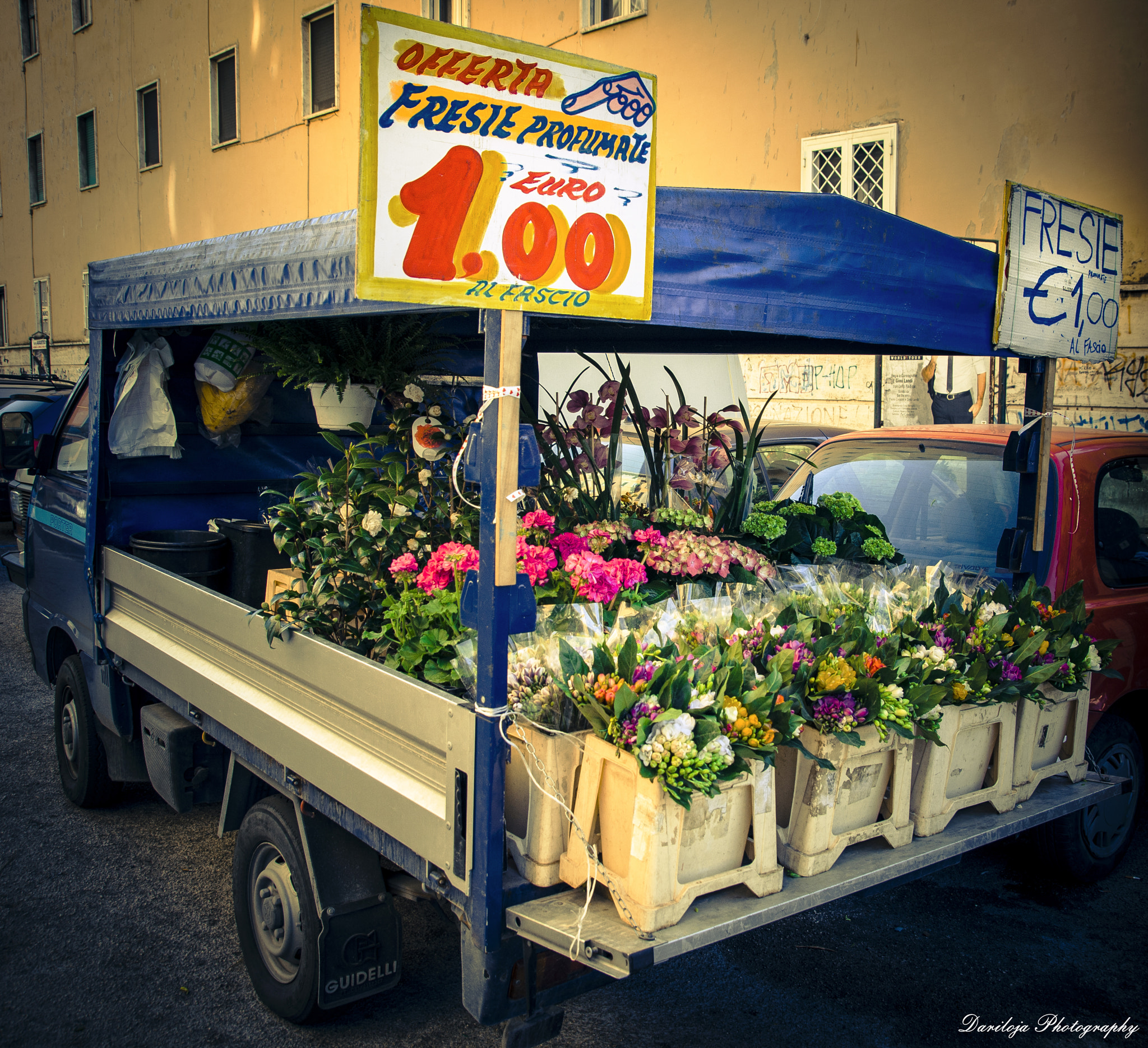 Only flowers by Dario Aloja ᵖʰᵒᵗᵒᵍʳᵃᵖʰʸ / 500px