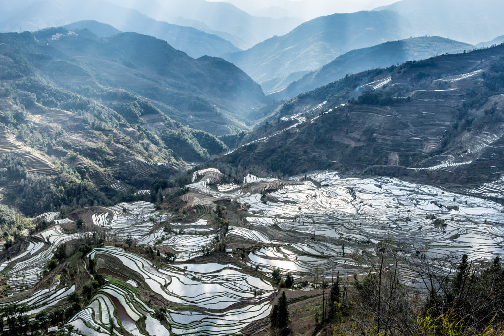 China_Yunnan_Xinjie_Laohuzui_Rice fields.