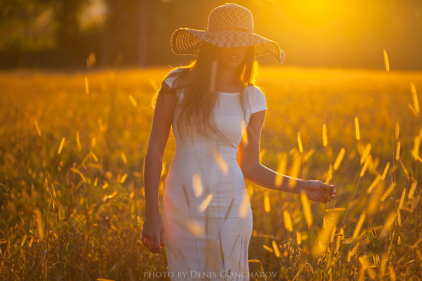 Sun Field By Denis Goncharov   500px