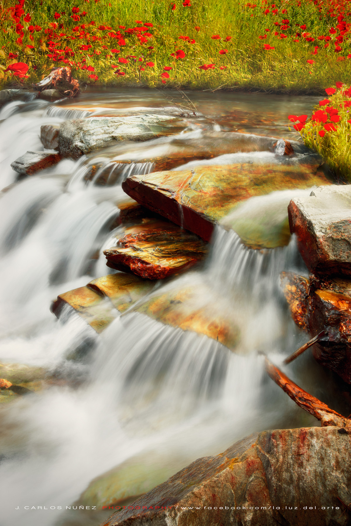 buenos dias primavera