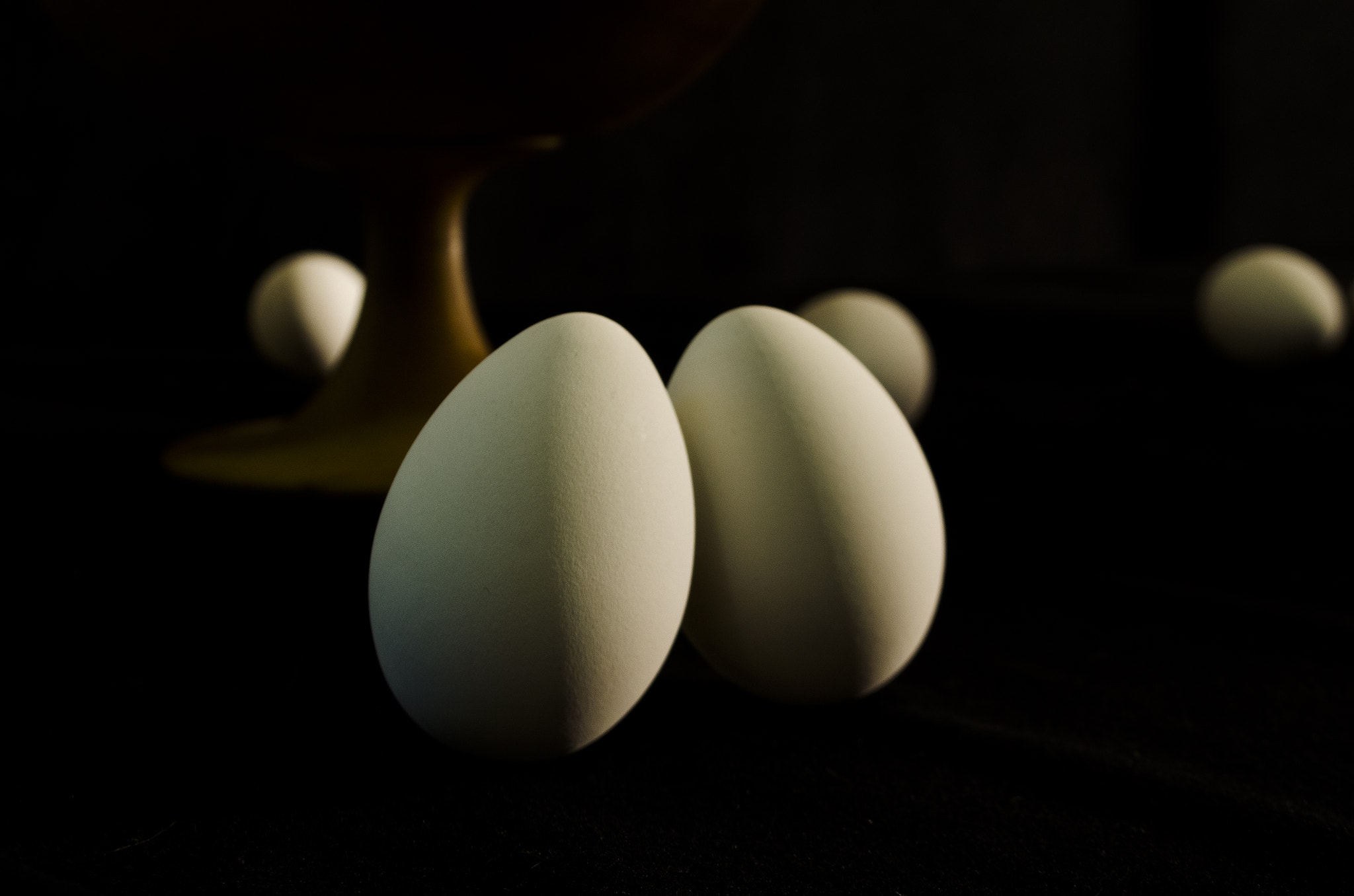 Do You Know The Egg?