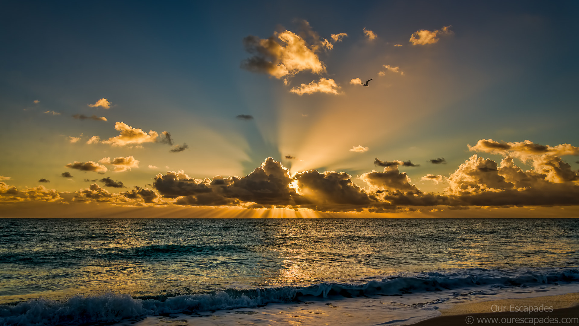 Good Morning Miami