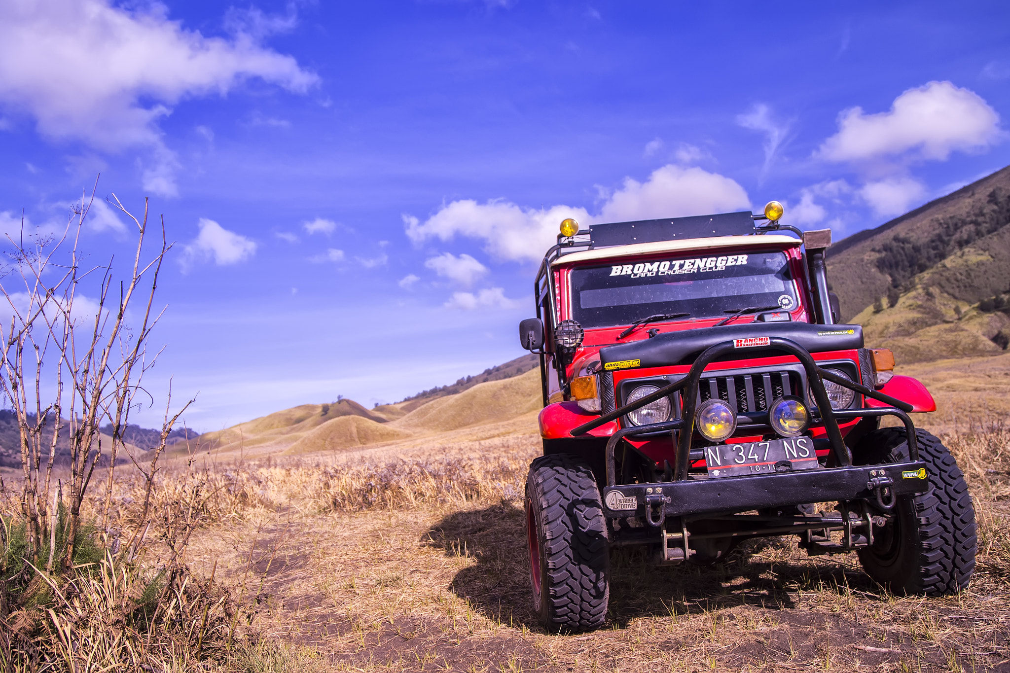 the jeep